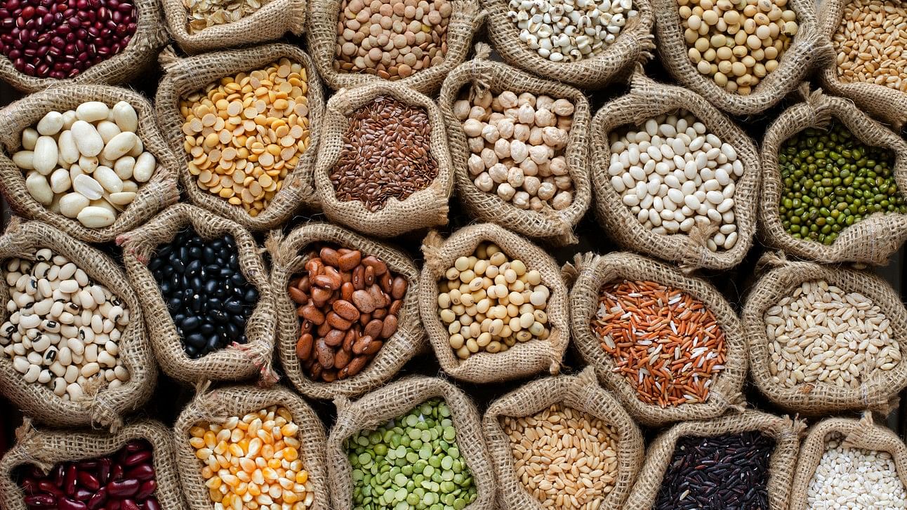 <div class="paragraphs"><p>Representative image showing food grains.</p></div>