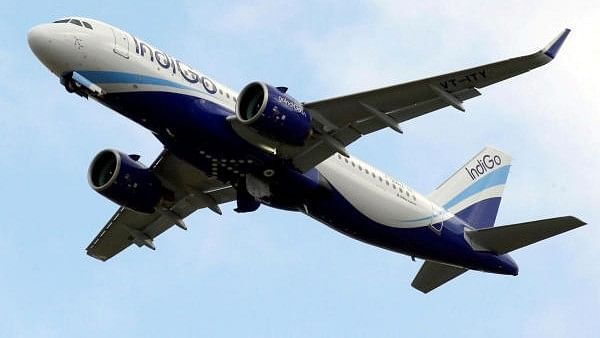 <div class="paragraphs"><p>Representative image showing an IndiGo plane.</p></div>