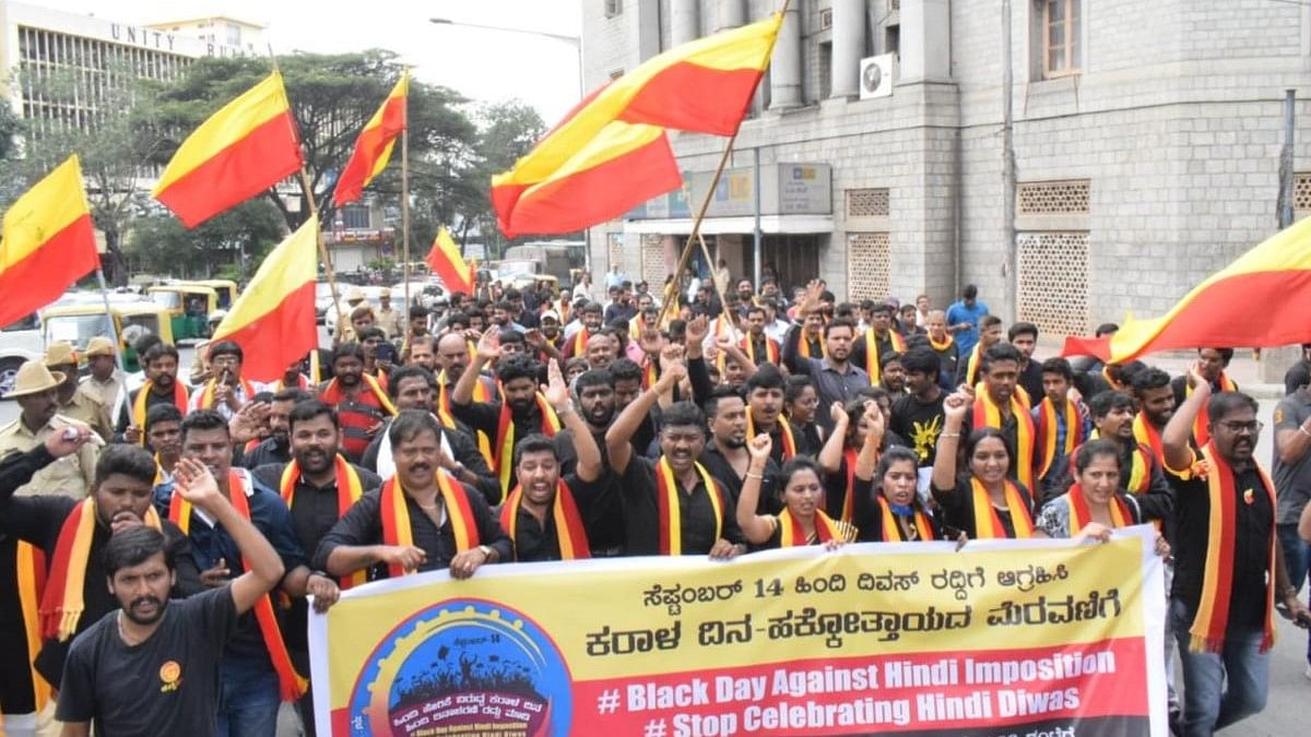 <div class="paragraphs"><p>Several pro-Kannada organisations have earlier observed 'Black Day against Hindi imposition'. Representative image.</p></div>