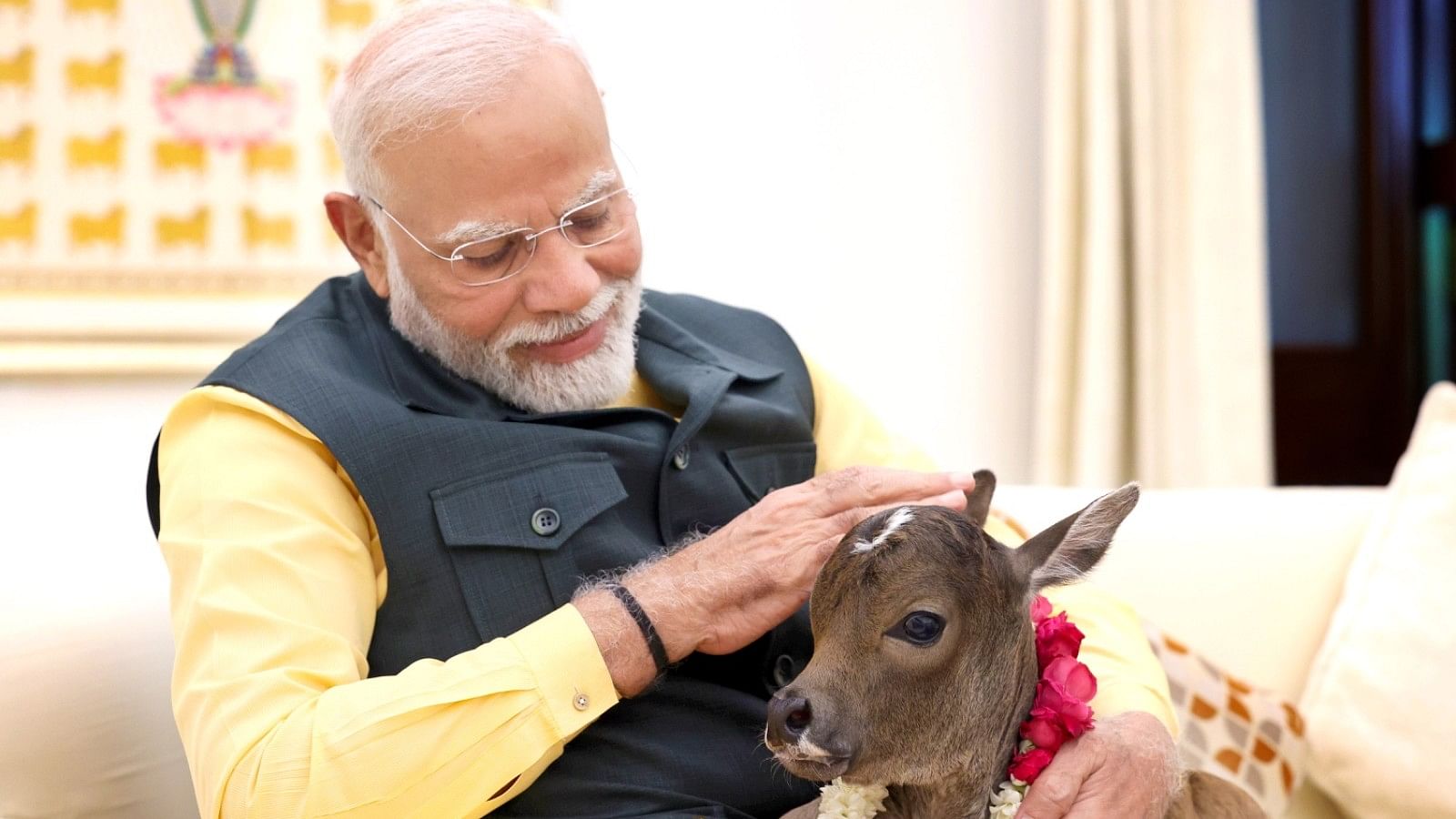 <div class="paragraphs"><p>Prime Minister Narendra Modi with the newly adopted calf at his&nbsp;7, Lok Kalyan Marg residence.</p></div>