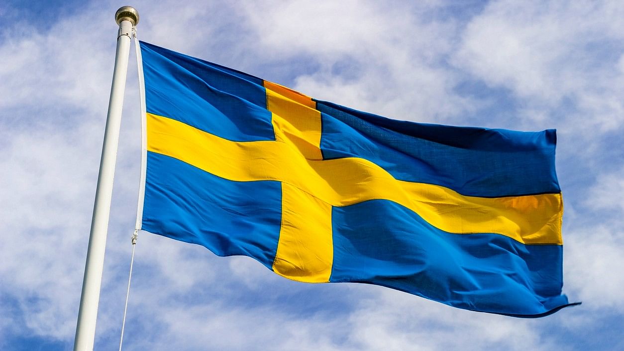 <div class="paragraphs"><p>Swedish flag.</p></div>