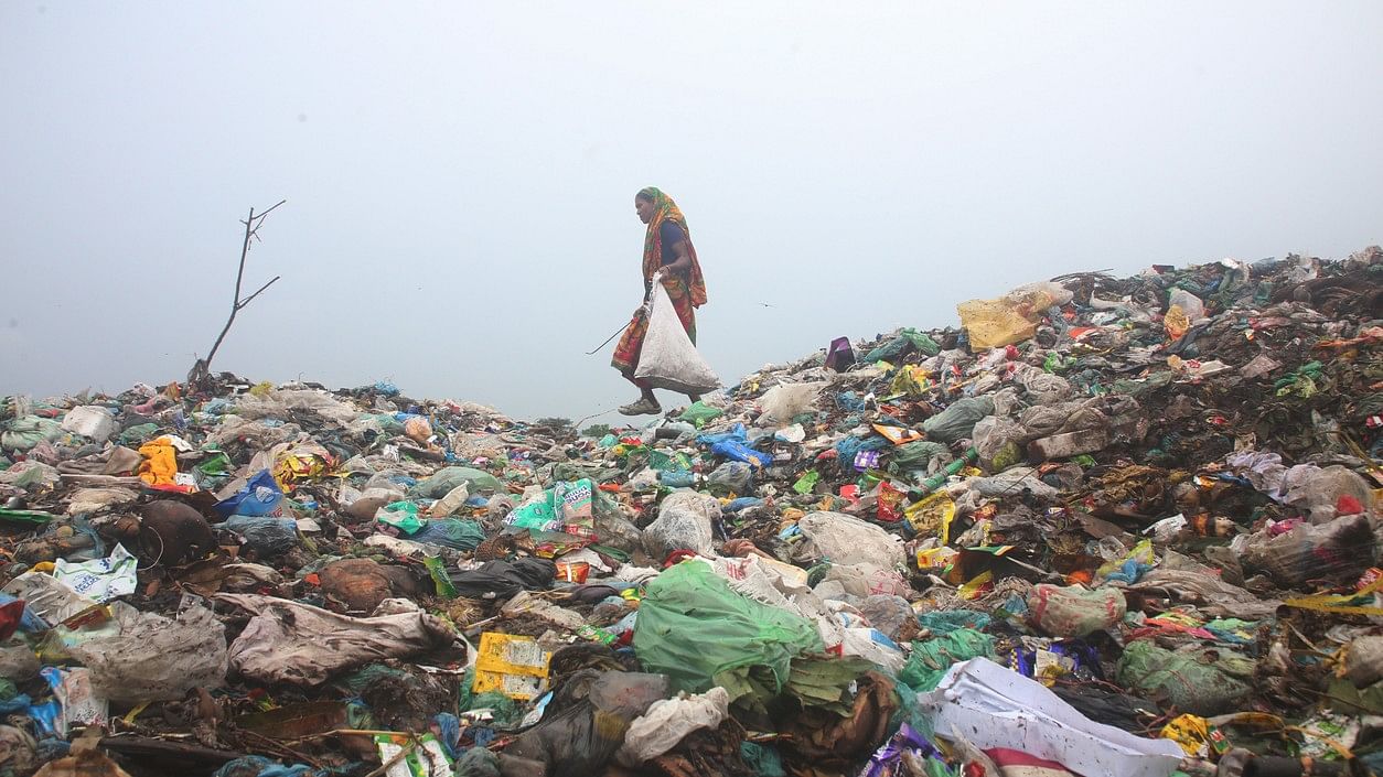 <div class="paragraphs"><p>Representative image of plastic pollution.</p></div>