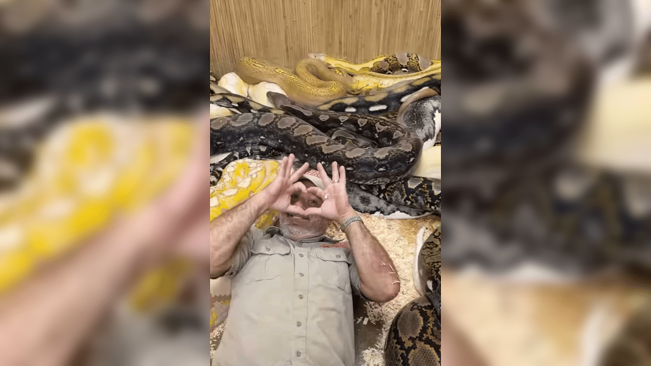 <div class="paragraphs"><p>Screengrab from the video posted by&nbsp;Jay Brewer on his Instagram account where he can be seen celebrating his birthday with pythons.</p></div>