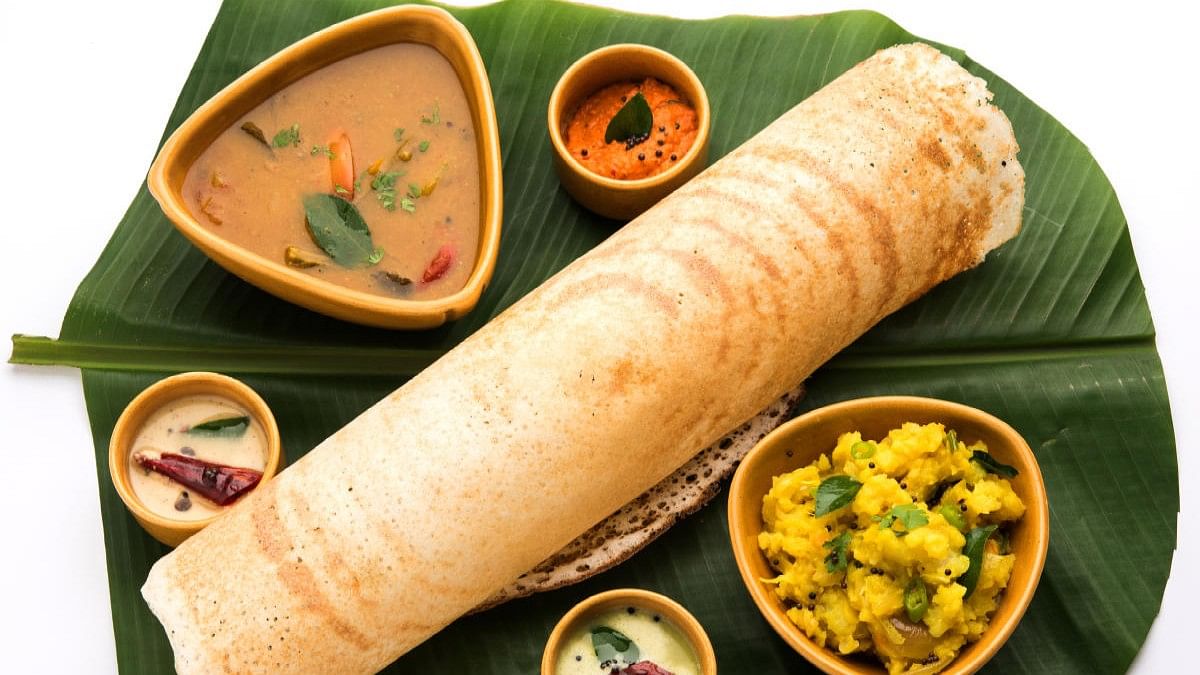 <div class="paragraphs"><p>Masala Dosa</p></div>