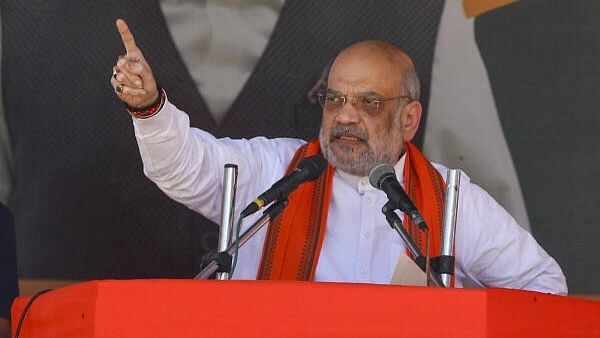 <div class="paragraphs"><p>Union Home Minister Amit Shah.</p></div>