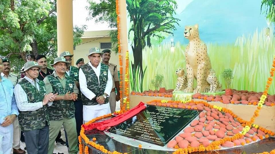 <div class="paragraphs"><p>State Forest Minister Ramniwas Rawat inaugurated the hospital for cheetahs in Palpur area, constructed at a cost of Rs 2.29 crore.</p></div><div class="paragraphs"><p><br></p></div>