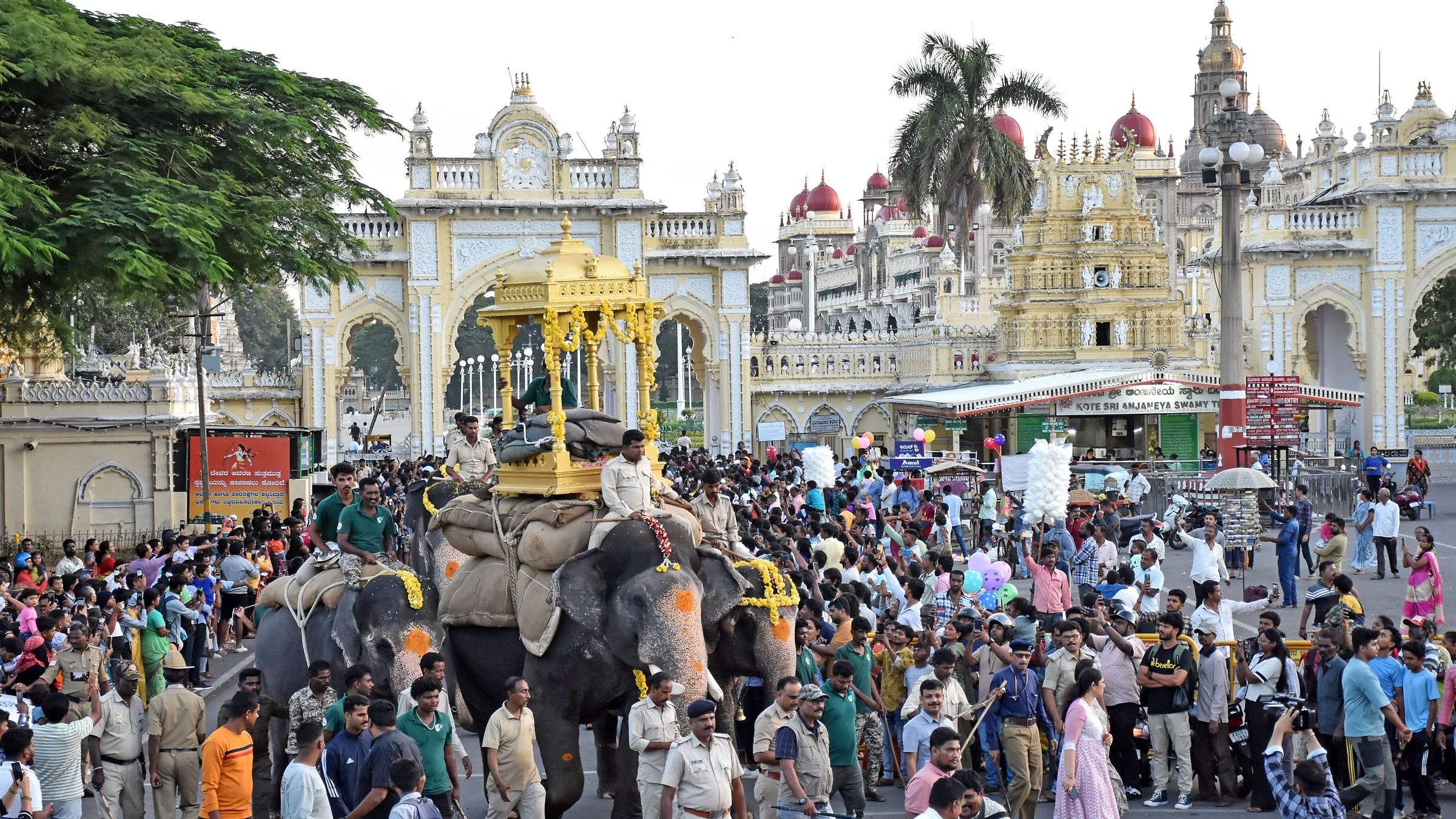 <div class="paragraphs"><p>Abhimanyu carries wooden howdah near the North gate of Mysuru Palace on Wednesday evening. </p></div>