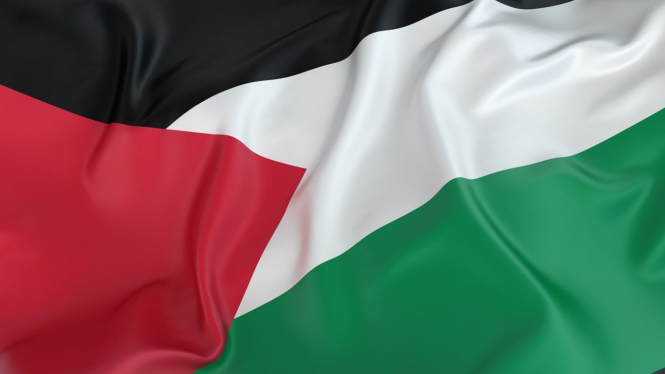 <div class="paragraphs"><p>Palestinian Flag.</p></div>