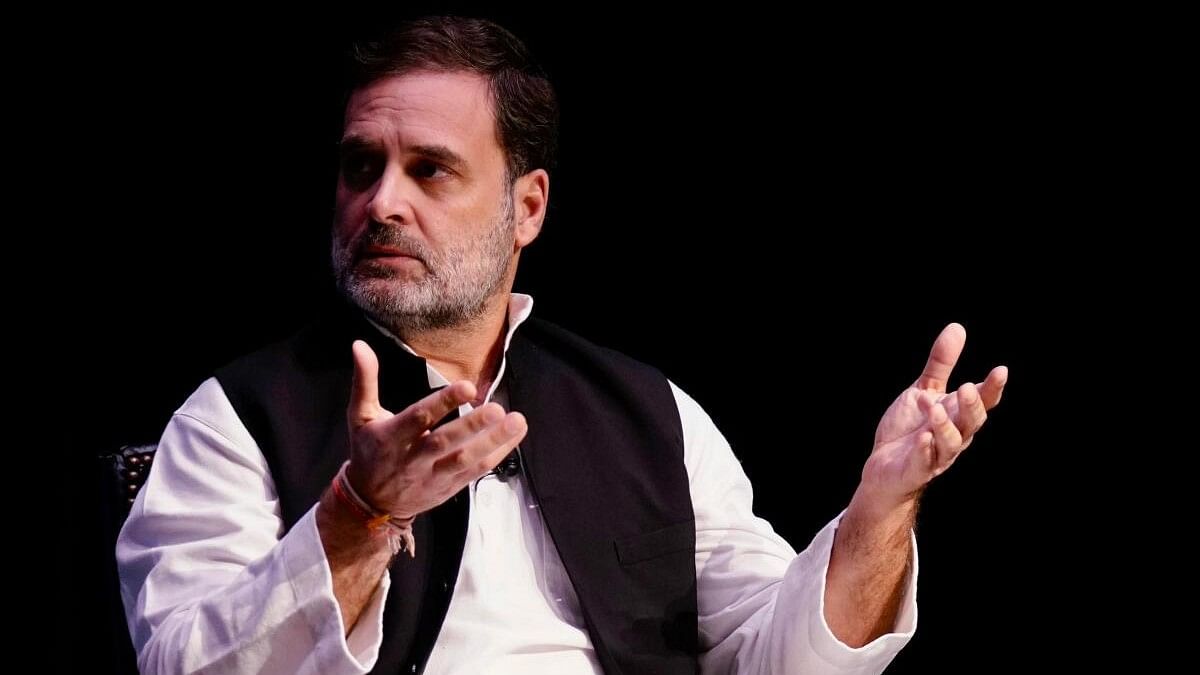 <div class="paragraphs"><p>Congress MP Rahul Gandhi.</p></div>