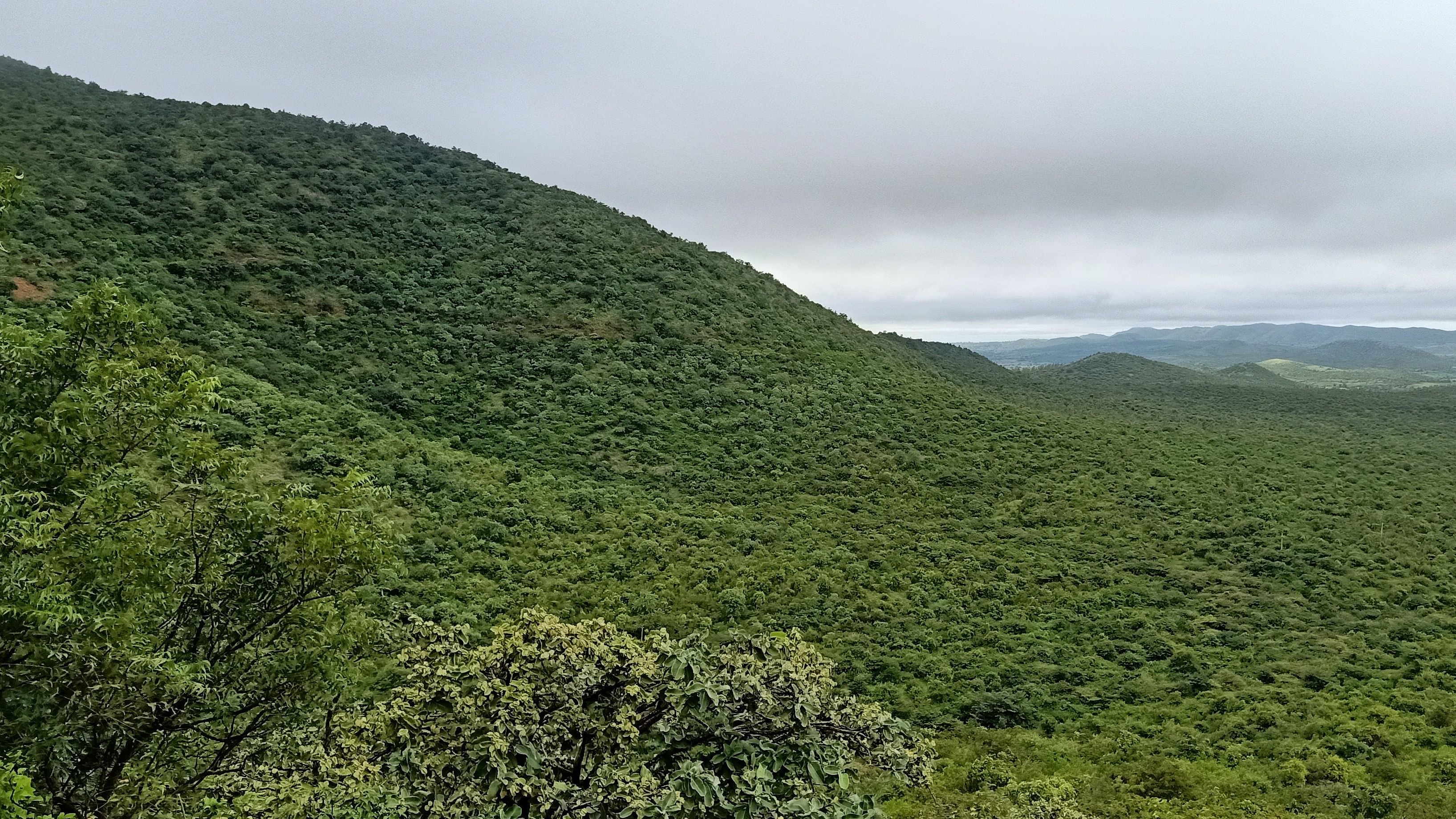 A file photo of Kappatagudda in Gadag district. Last year, a cabinet sub-committee gave in-principle approval for declaring ESZ for six protected areas.