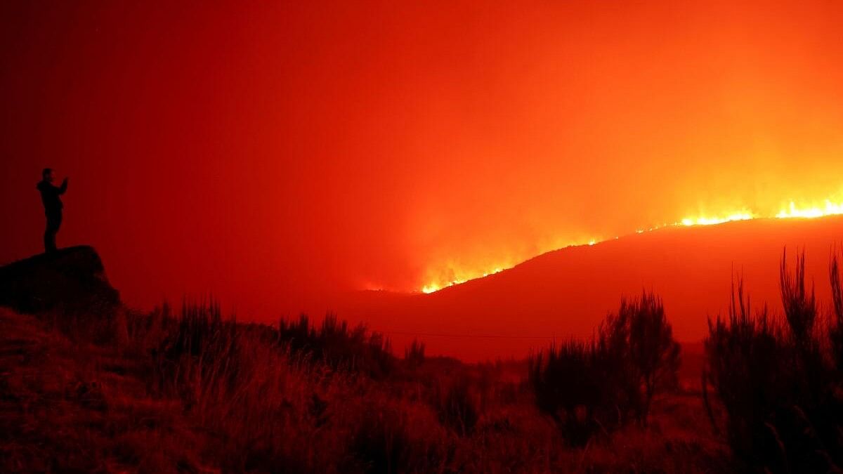 <div class="paragraphs"><p>A man stands in the vicinity of wildfire, near Povoa de Montemuro, Portugal, September 18, 2024.</p></div>