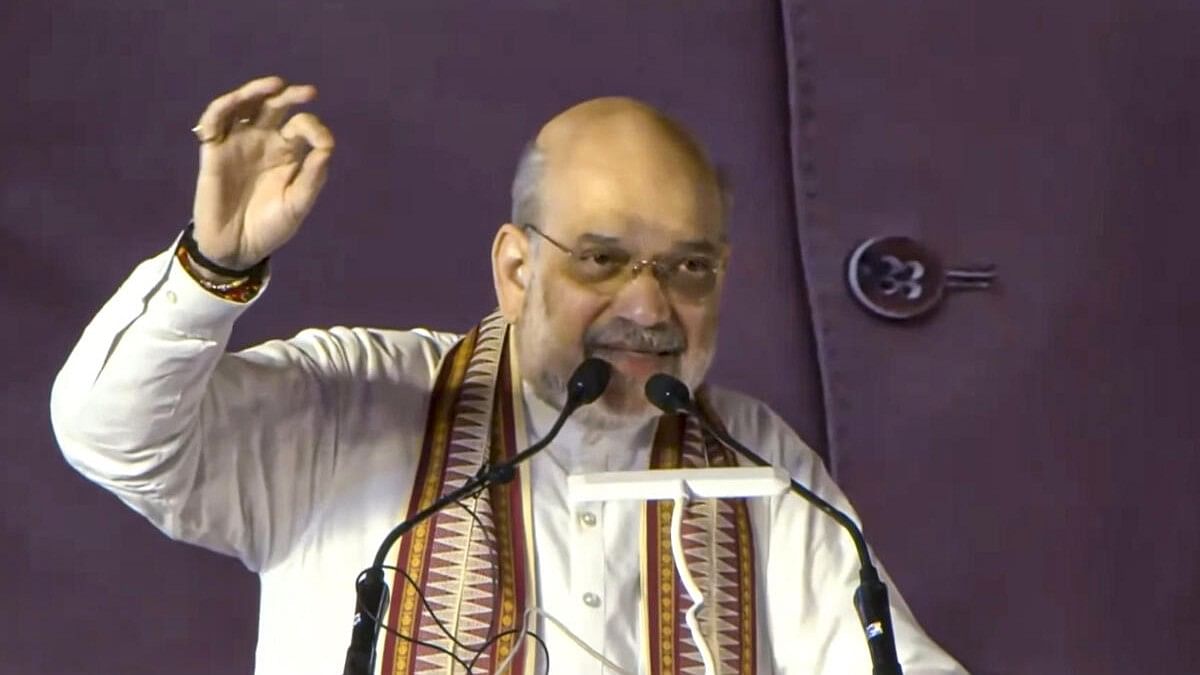 <div class="paragraphs"><p>Home Minister Amit Shah.&nbsp;</p></div>