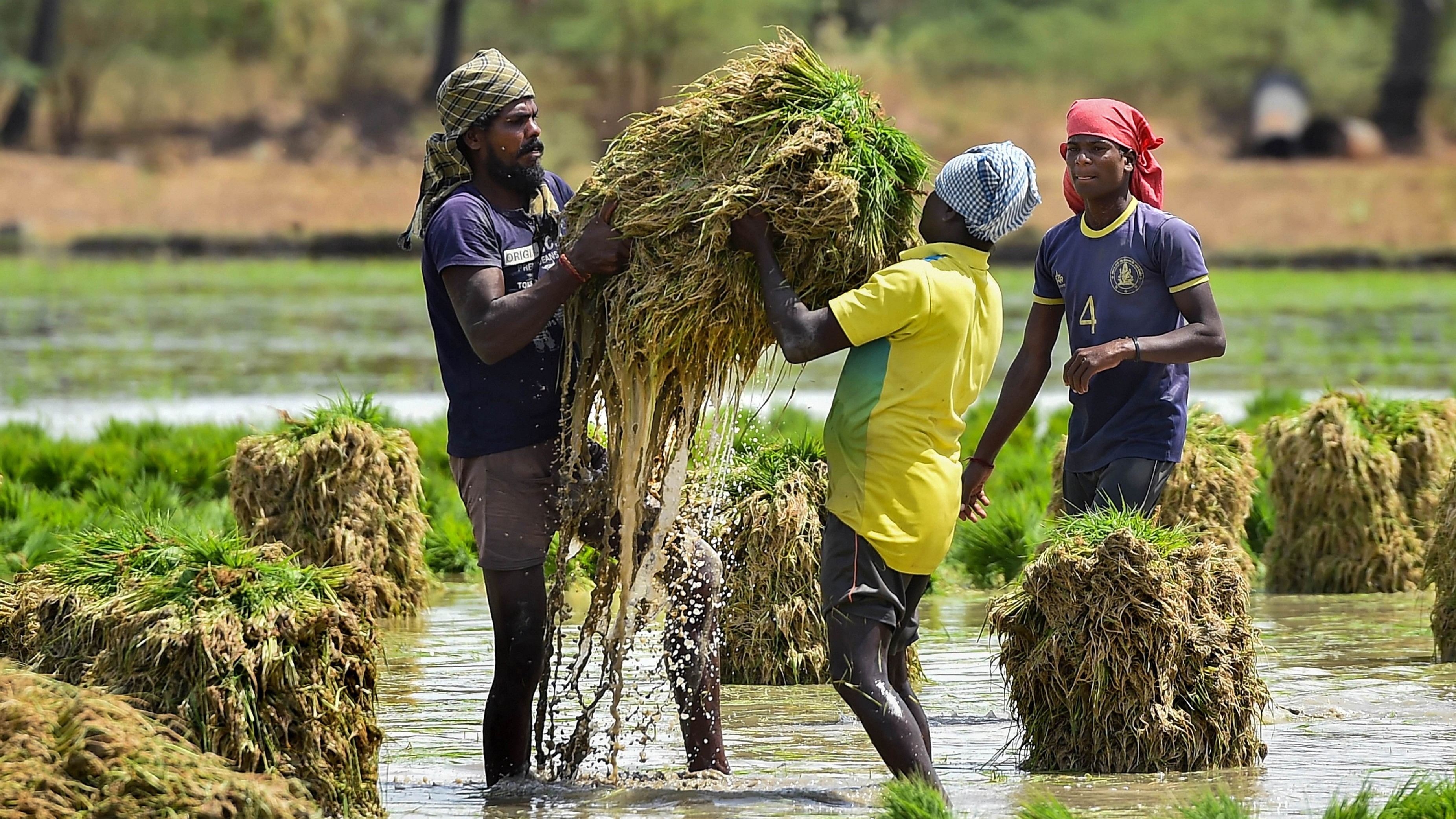 <div class="paragraphs"><p>Representative image of farm workers</p></div>