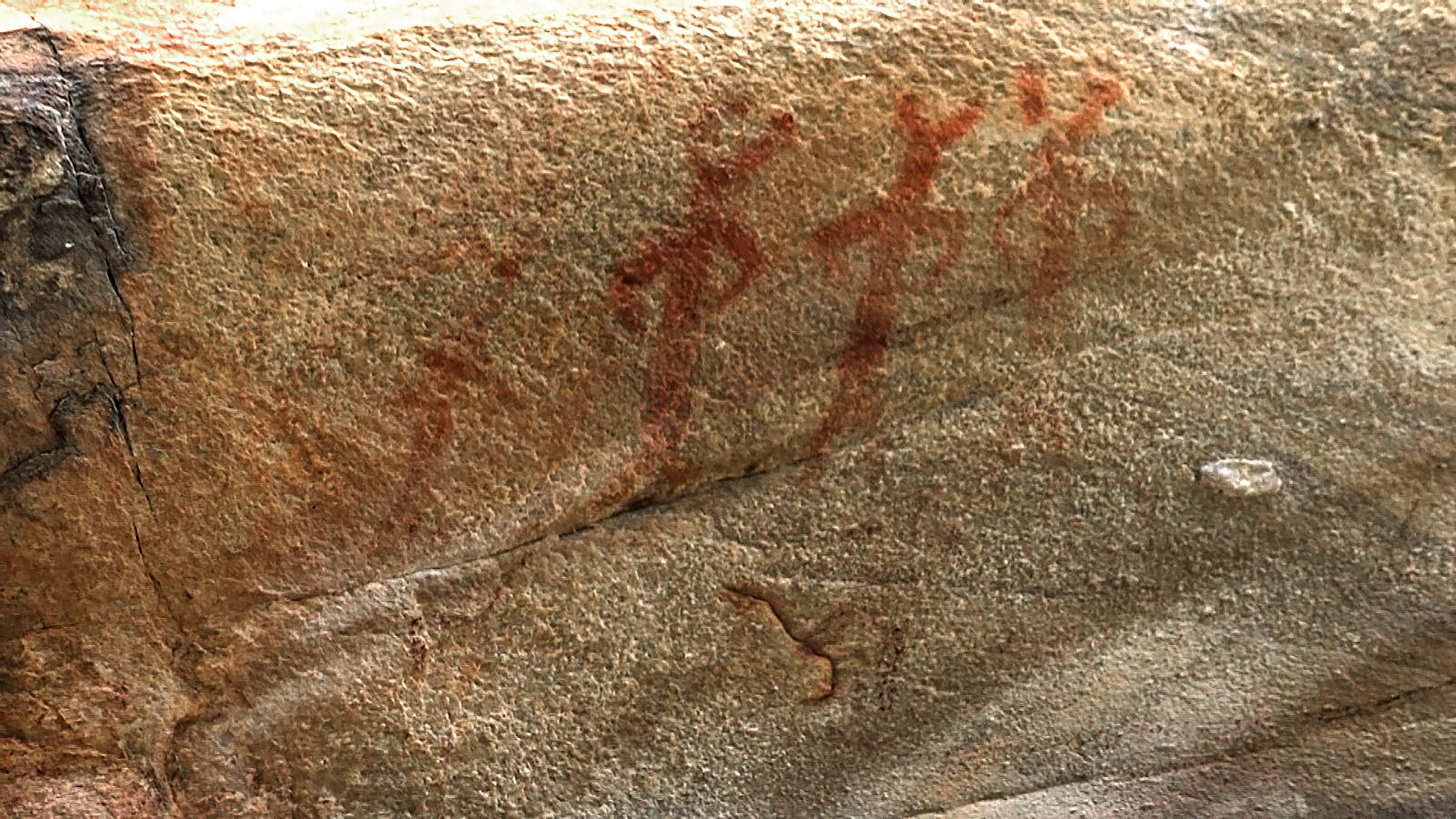 <div class="paragraphs"><p>Rock  paintings. (Image for representation)</p></div>