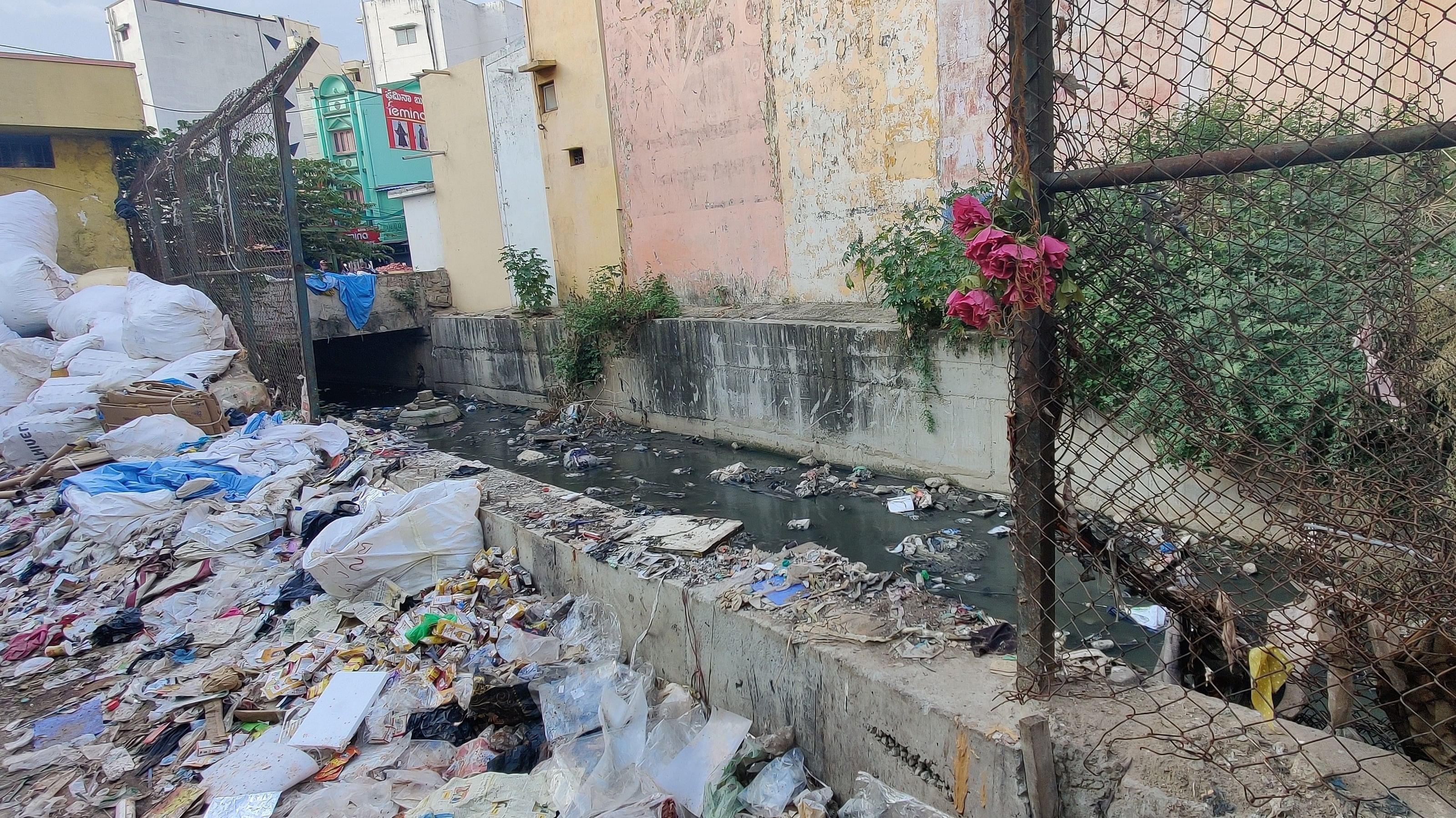 <div class="paragraphs"><p>An open drain filled with garbage beside a busy road in Shivajinagar near Russell Market.</p></div>