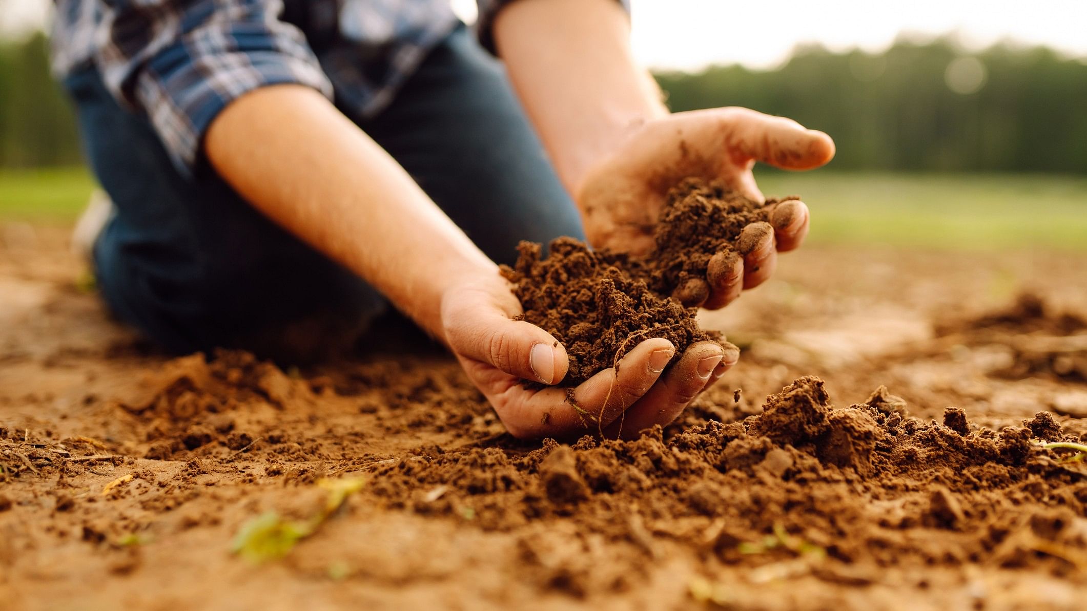 <div class="paragraphs"><p>Representative image showing dirt.</p></div>