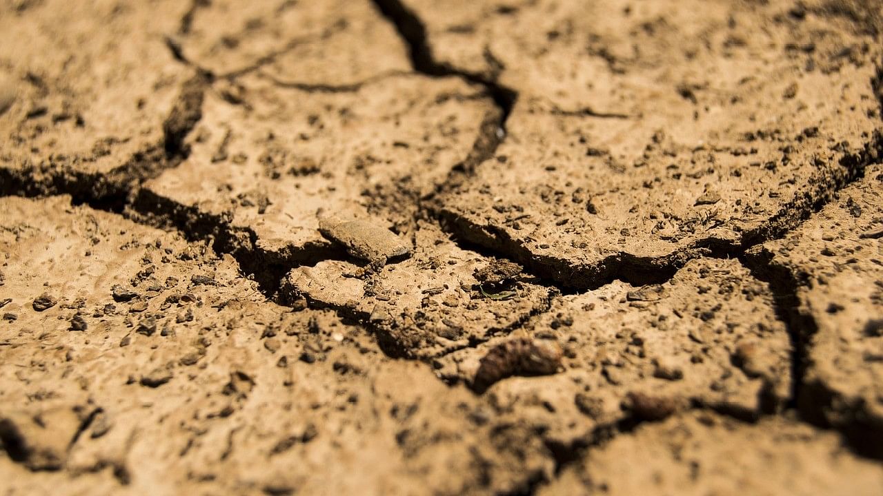 <div class="paragraphs"><p>Representative image showing a drought.</p></div>