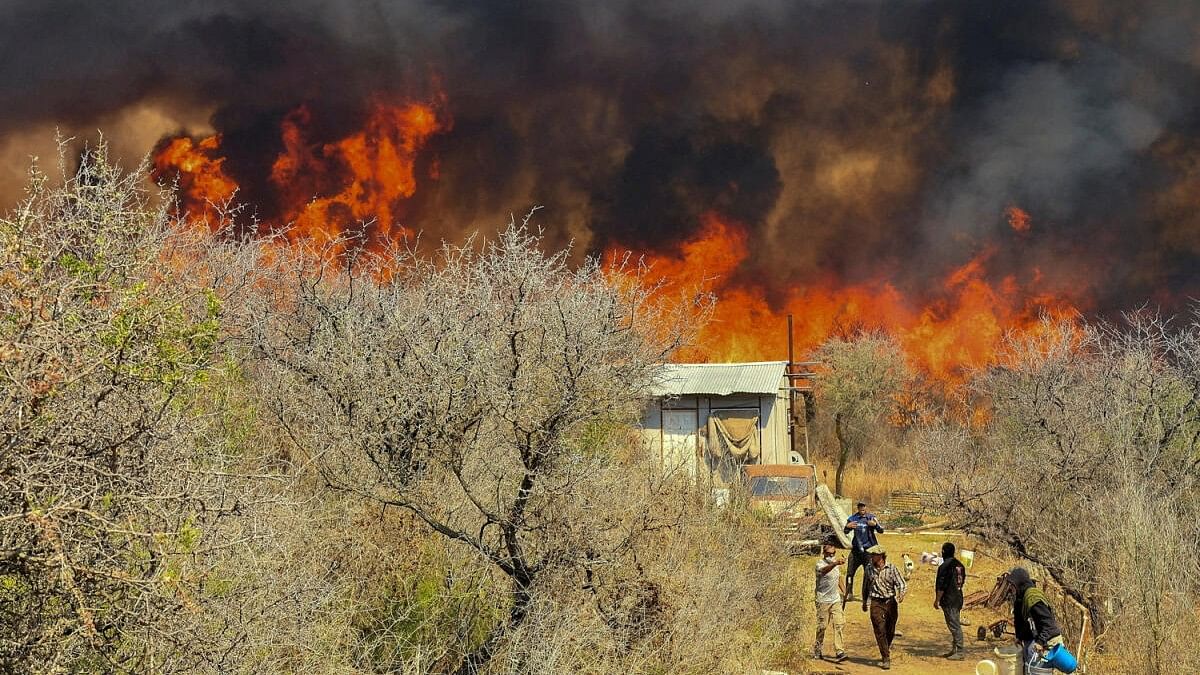 <div class="paragraphs"><p>People walk as a wildfire develops in San Esteban, in the province of Cordoba, Argentina September 20, 2024.</p></div>