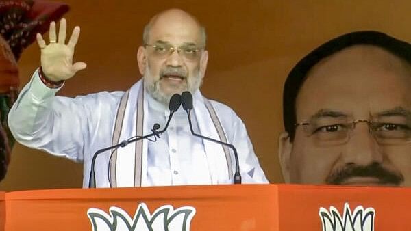 <div class="paragraphs"><p>Union Minister and BJP leader Amit Shah addresses a rally in Naushera, Jammu and Kashmir, Sunday.&nbsp;</p></div>