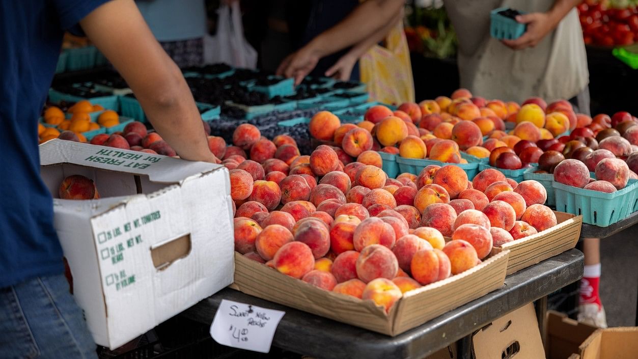 <div class="paragraphs"><p>Representative image of a fruit stall</p></div>