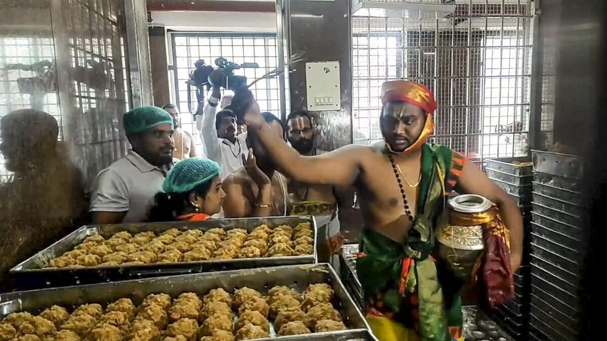 <div class="paragraphs"><p>A priest performs the purification ritual 'Shanti Homam Panchagavya Prokshana' to undo the alleged desecrations that occurred at Sri Venkateswara Swamy Temple during YSRCP government, at Tirumala in Tirupati district.&nbsp;</p></div>