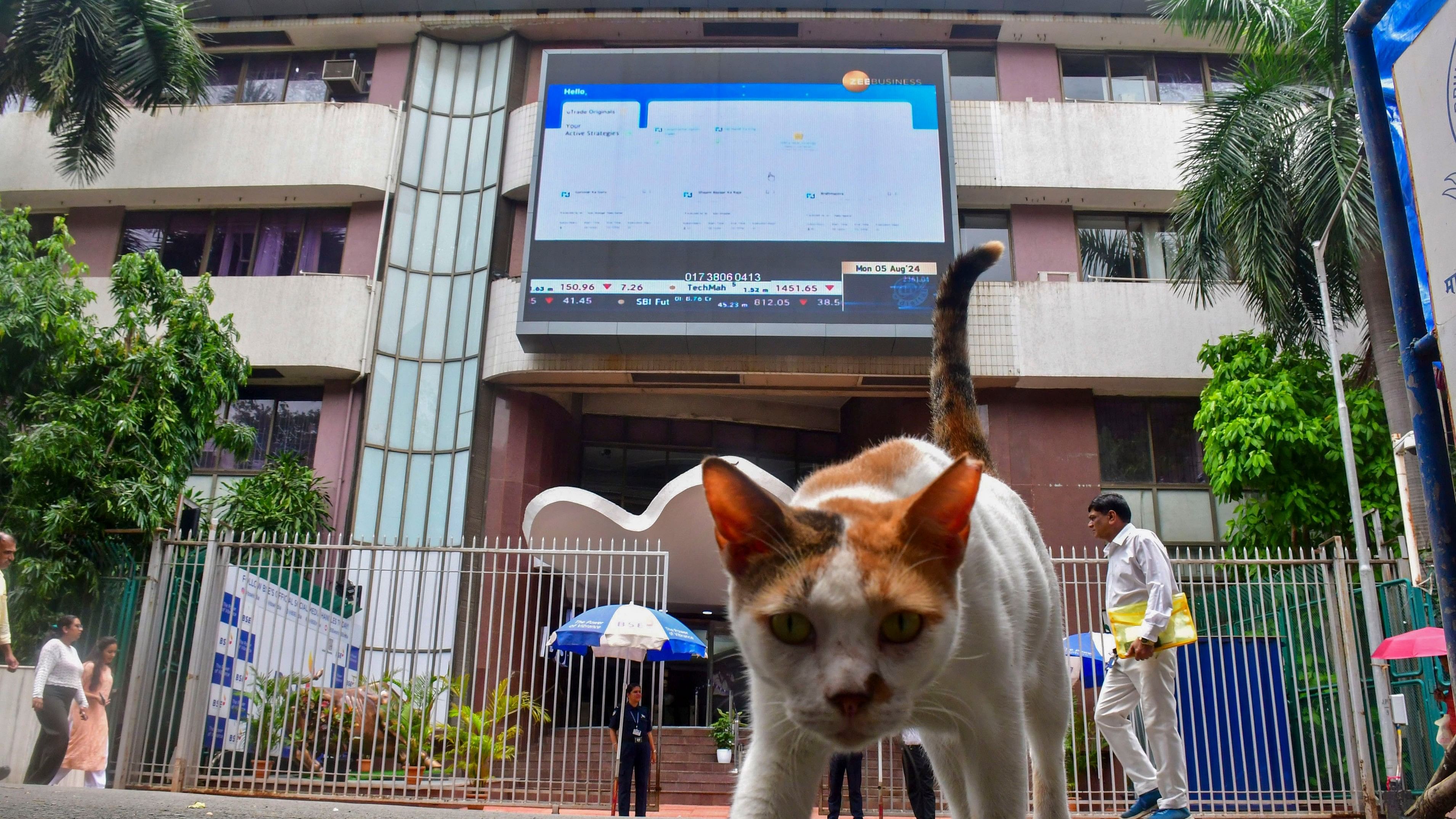 <div class="paragraphs"><p>Mumbai: A cat outside the Bombay Stock Exchange (BSE) building, in Mumbai.&nbsp;</p></div>