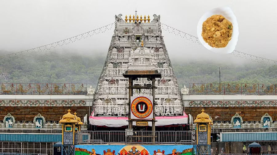 <div class="paragraphs"><p>Images of a laddu (in the corner pic) and the Sri Venkateswara Swamy Temple in Tirupati.</p></div>