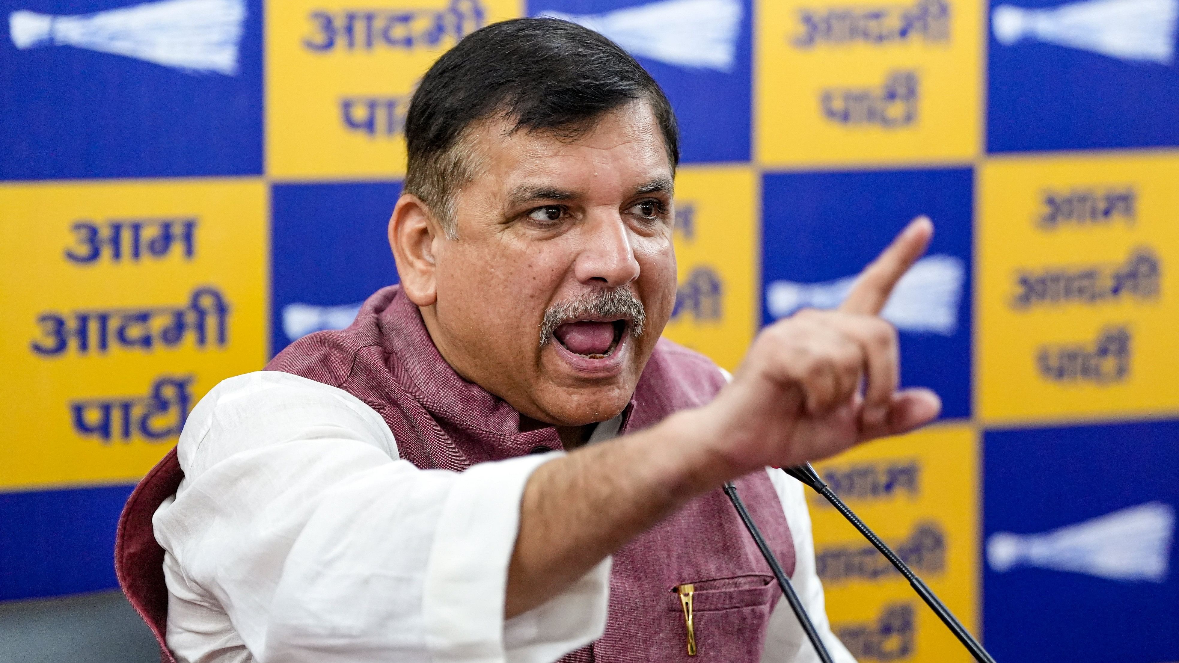 <div class="paragraphs"><p>AAP leader Sanjay Singh.</p></div>