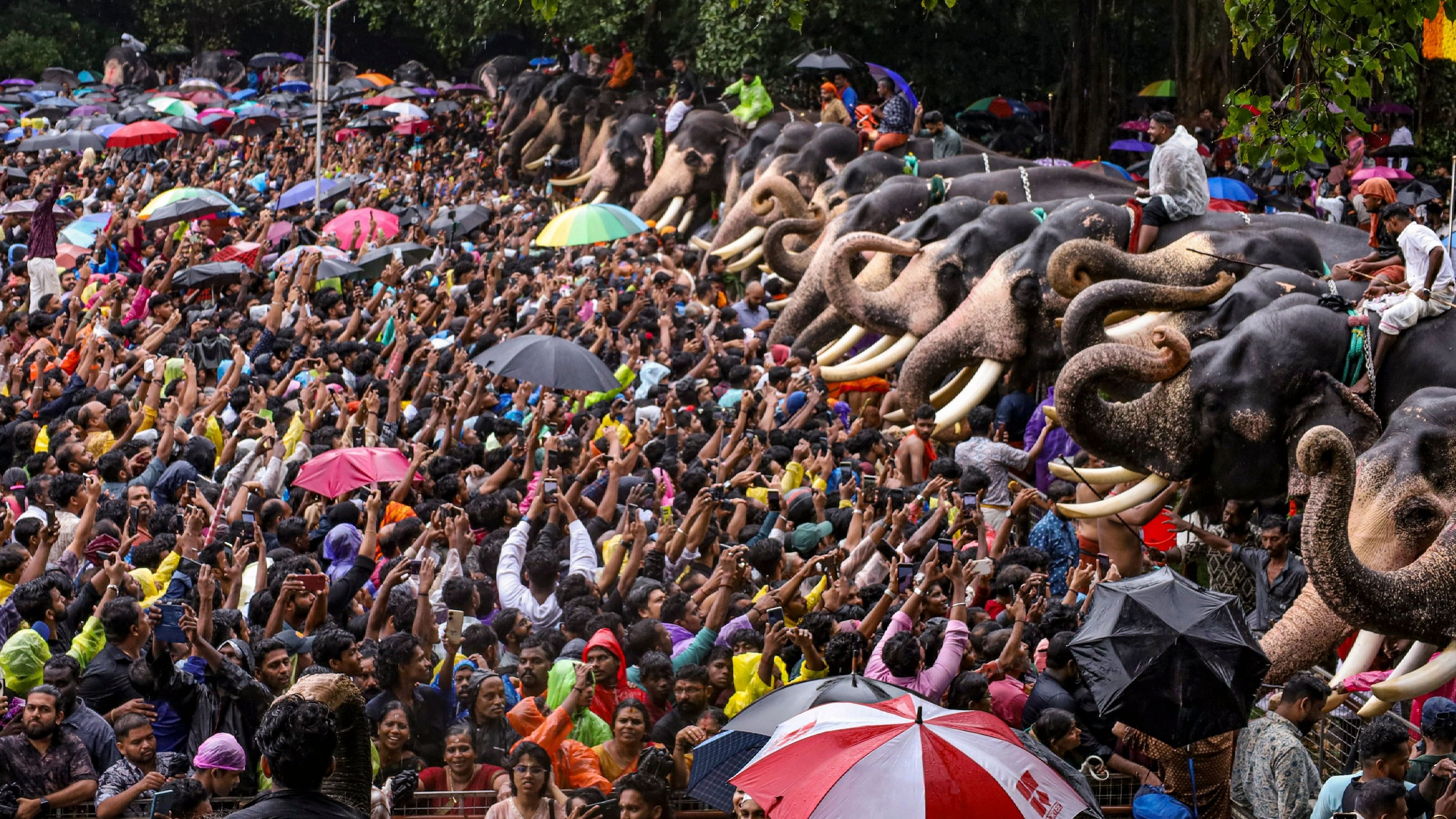 <div class="paragraphs"><p>Devotees feed elephants at the Vadakkunnathan Temple in the Malayali month Karkidakam, in Thrissur, Kerala.</p></div>