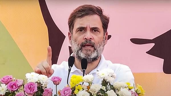 <div class="paragraphs"><p>Rahul Gandhi in J&amp;K</p></div>