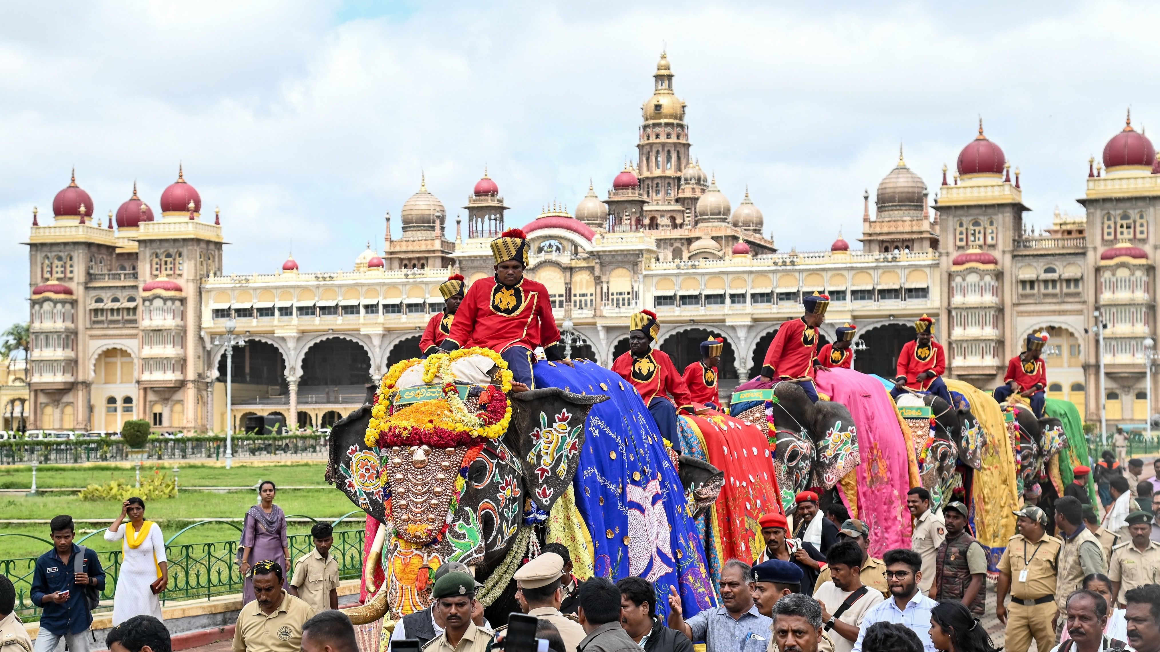 <div class="paragraphs"><p>Dasara elephants on the premises of Mysuru Palace. </p></div>