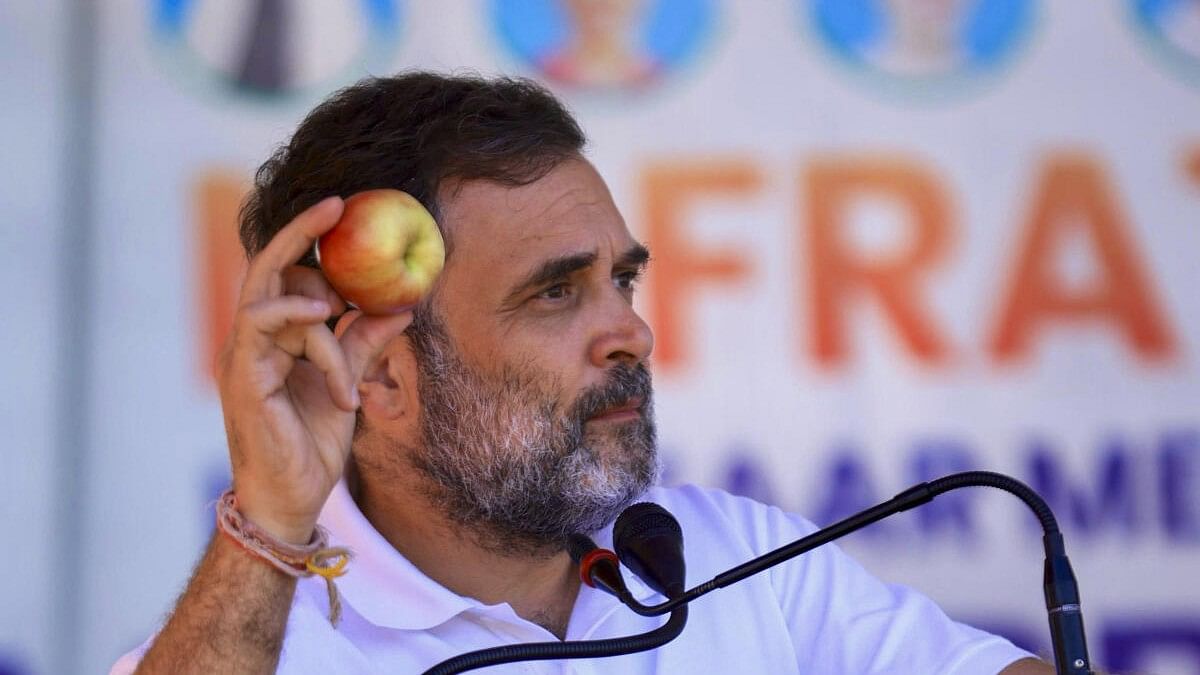 <div class="paragraphs"><p>Rahul Gandhi speaks during an election rally in Kashmir.</p></div>