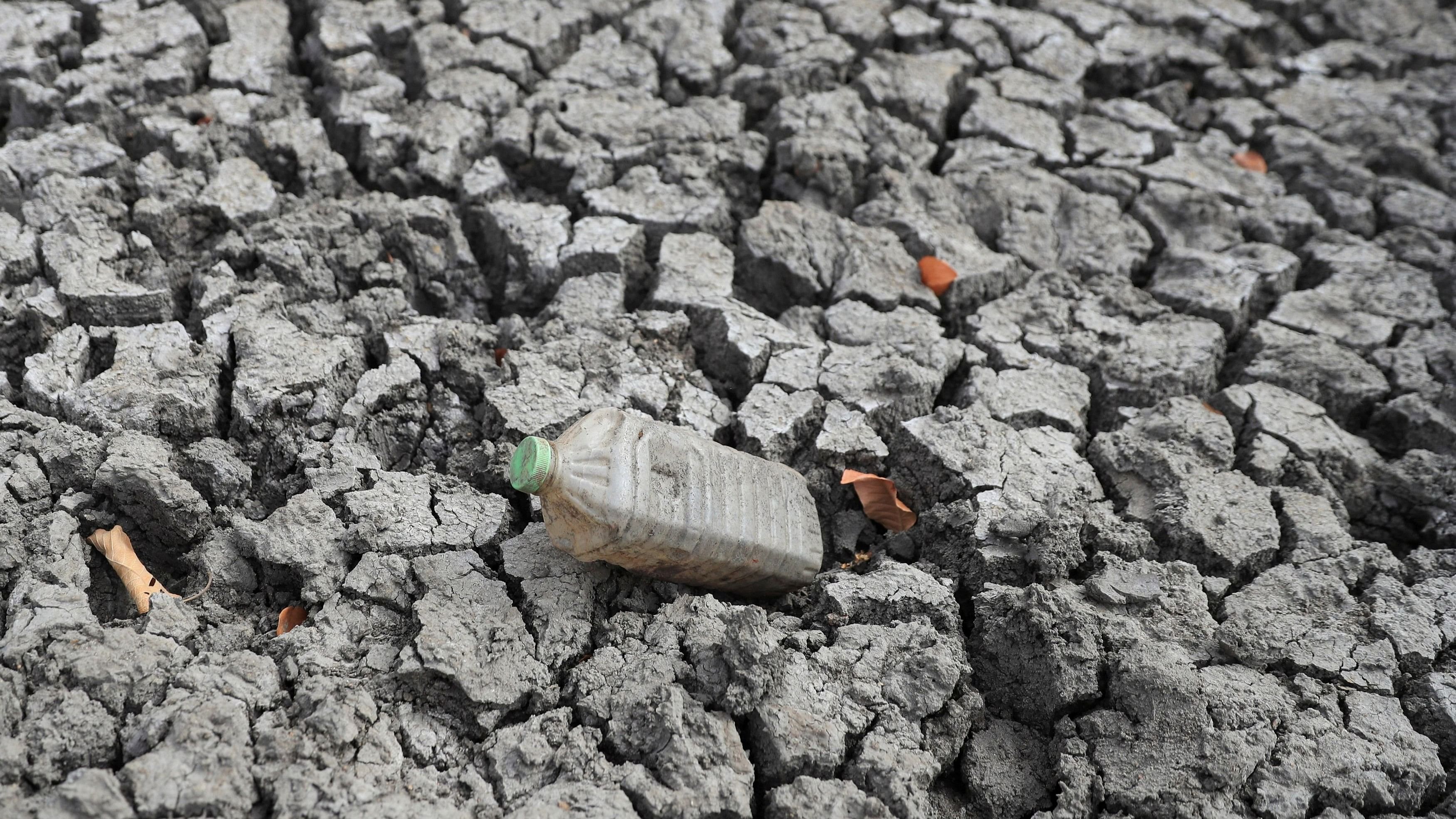 <div class="paragraphs"><p>A view of cracked ground at a dam after Zimbabwe experienced an El Nino-induced drought, in July 2024. </p></div>