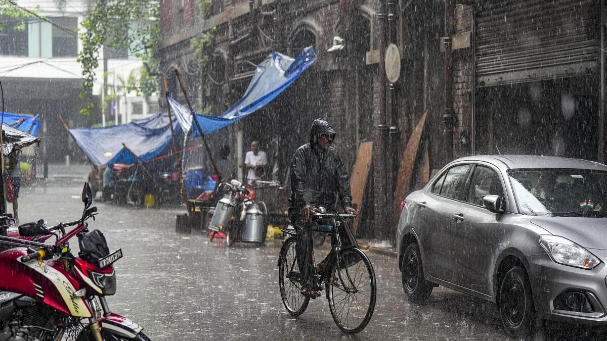 <div class="paragraphs"><p>A man pedals his cycle amid rains, in Kolkata, Thursday, September 26, 2024.</p></div>