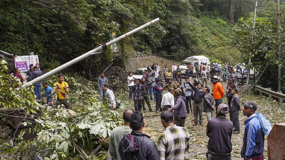 <div class="paragraphs"><p>Workers clear a road that was blocked by an uprooted tree following heavy rainfall in Shimla.</p></div>