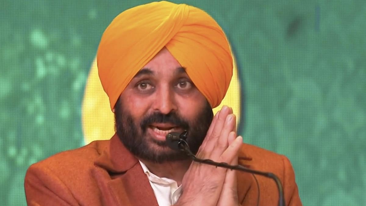 <div class="paragraphs"><p>Punjab CM Bhagwant Singh Mann </p></div>