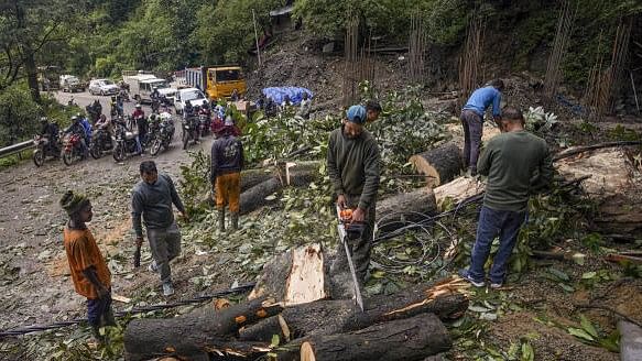 <div class="paragraphs"><p>Workers clear a road that was blocked by an uprooted tree following heavy rainfall, in Shimla.</p></div>