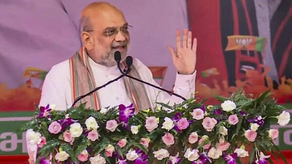 <div class="paragraphs"><p>Union Home Minister Amit Shah addresses a public meeting ahead of Haryana Assembly elections</p></div>