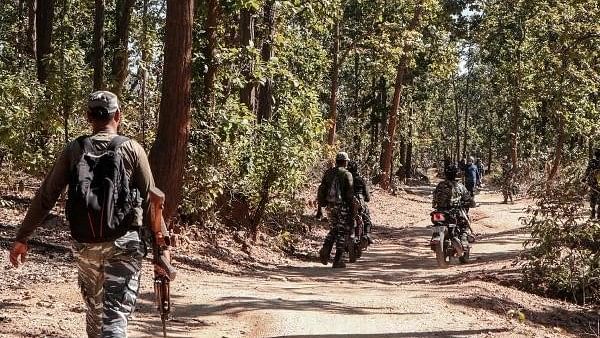 <div class="paragraphs"><p>Two Naxalites surrendered before the security forces in Chhattisgarh's Bijapur district on Wednesday, while one cadre was arrested. (Representative Image)</p></div>