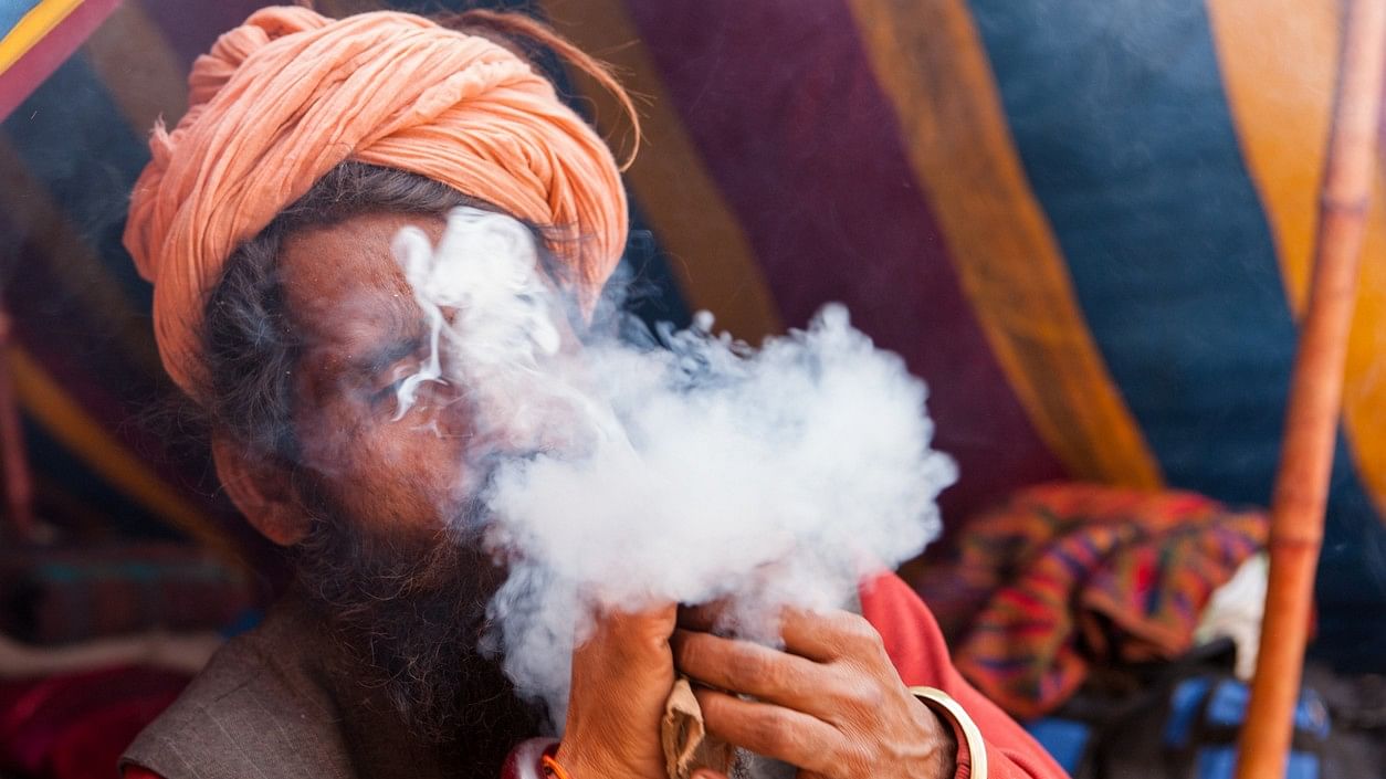 <div class="paragraphs"><p>File photo of a sadhu smoking ganja. (Representative image)</p></div>