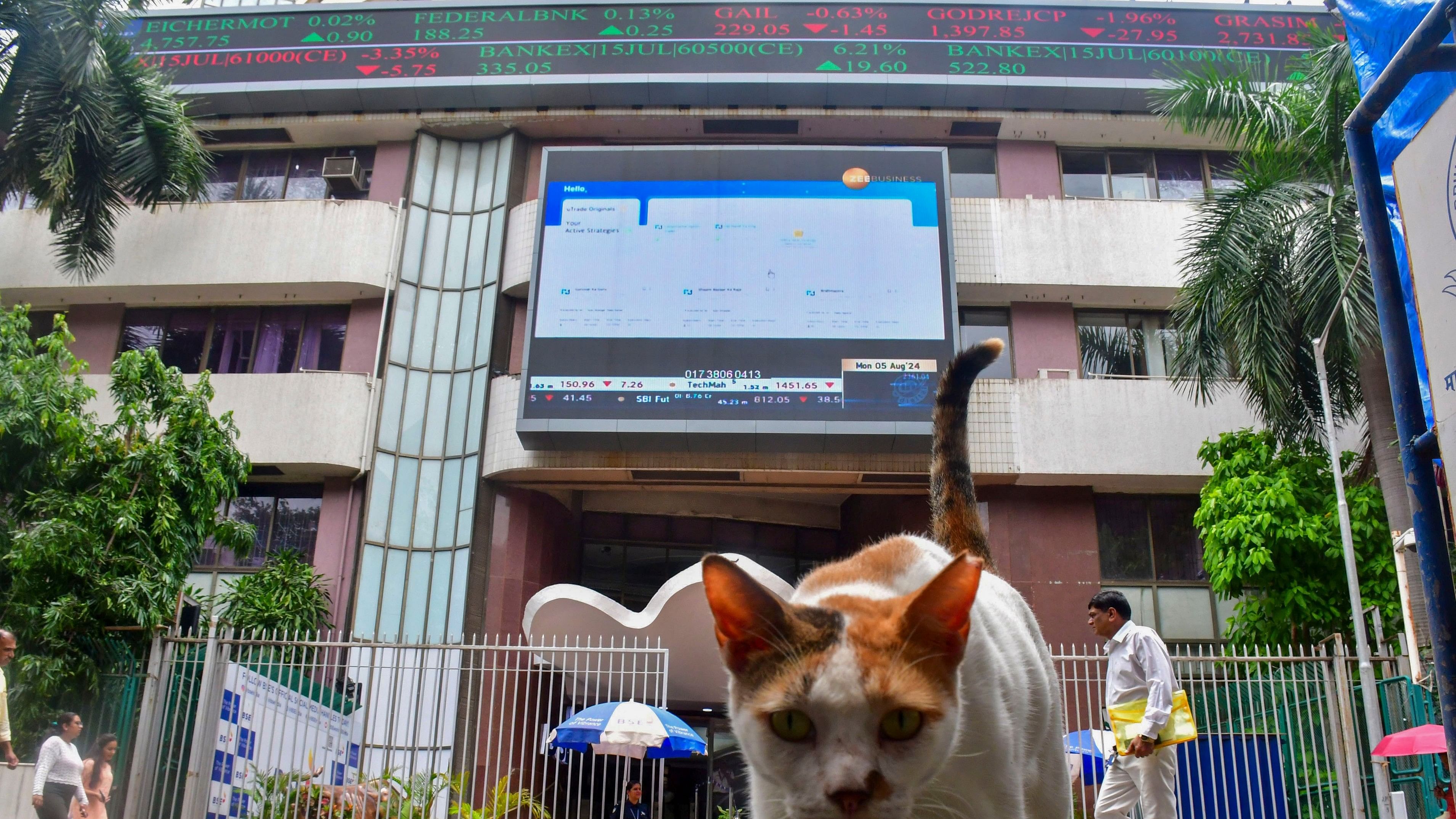 <div class="paragraphs"><p>Mumbai: A cat outside the Bombay Stock Exchange (BSE) building, in Mumbai, Monday, Aug. 5, 2024.   </p></div>