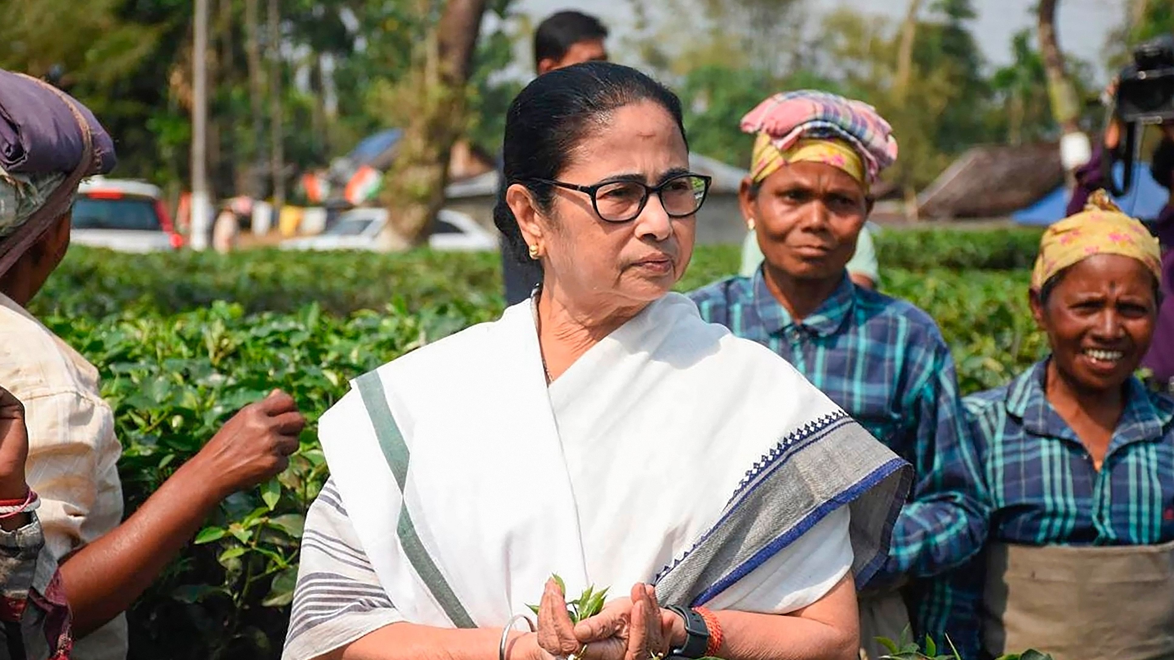 <div class="paragraphs"><p>West Bengal Chief Minister and TMC supremo Mamata Banerjee during a visit to a tea garden, in Jalpaiguri, Wednesday, April 3, 2024. </p></div>