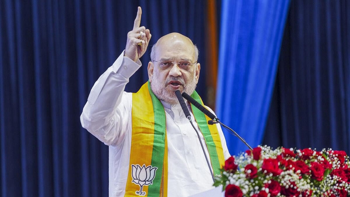 <div class="paragraphs"><p>Union Home Minister Amit Shah.</p></div>