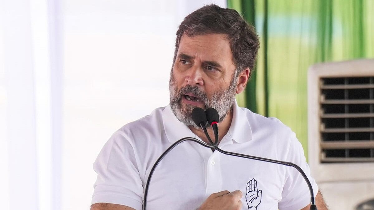 <div class="paragraphs"><p>Congress leader Rahul Gandhi addresses the party's Haryana Vijay Sankalp Jansabha, ahead of Assembly polls, in Nuh.</p></div>