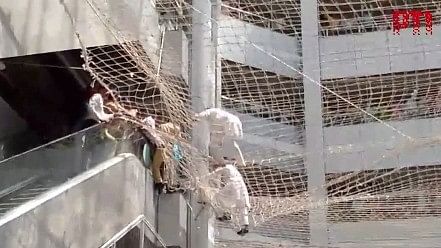 <div class="paragraphs"><p>Screengrab from video showing MLAs in the safety net.</p></div>