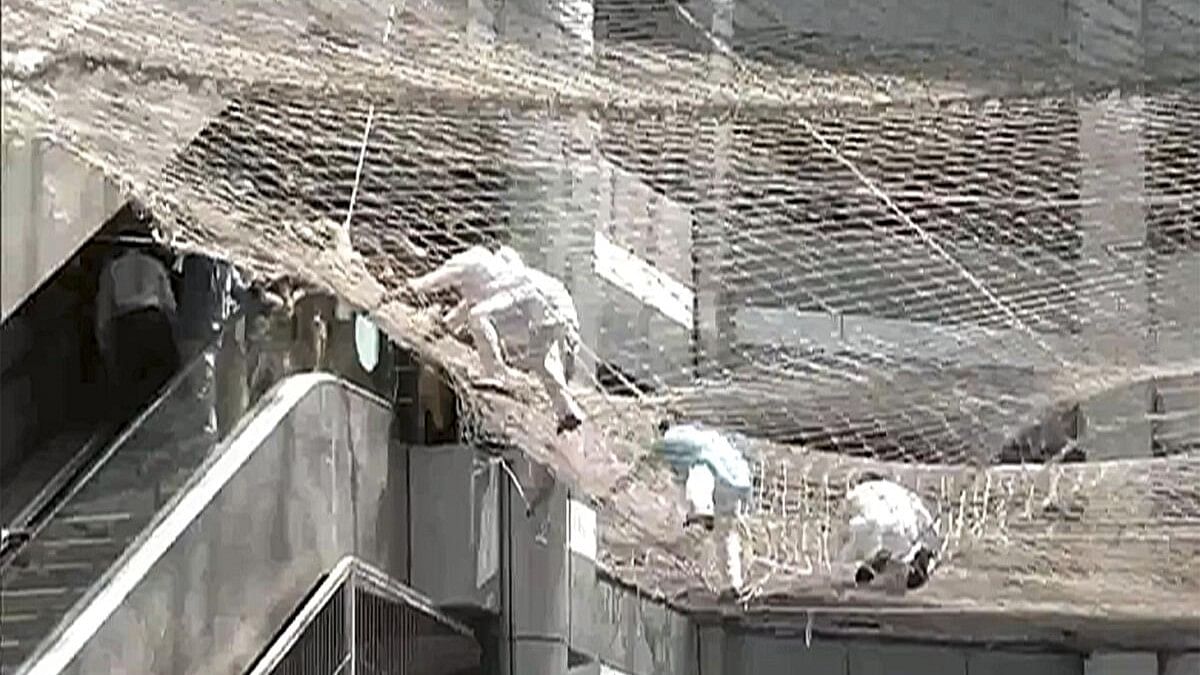 <div class="paragraphs"><p> Maharashtra Assembly Deputy Speaker Narhari Zirwal and other MLAs being rescued from the safety nets after they jumped from the third floor of the Mantralaya building, in Mumbai.</p></div>