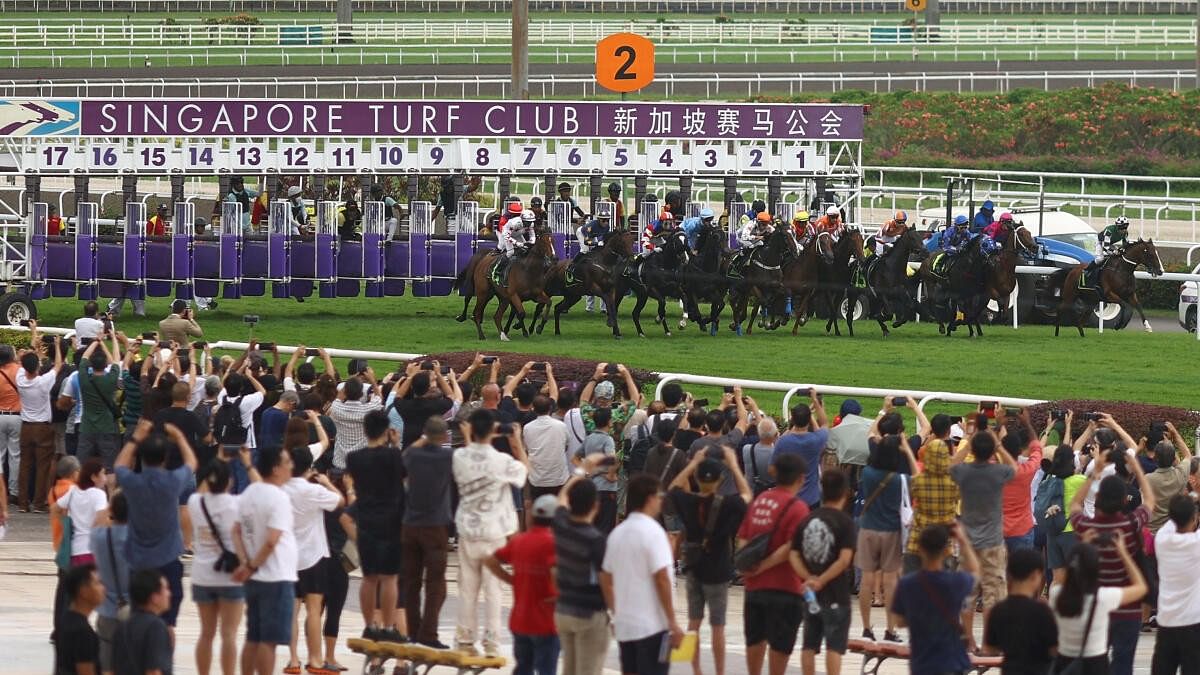 <div class="paragraphs"><p>Horses race in the Grand Singapore Gold Cup on the last race day at the Singapore Turf Club.</p></div>