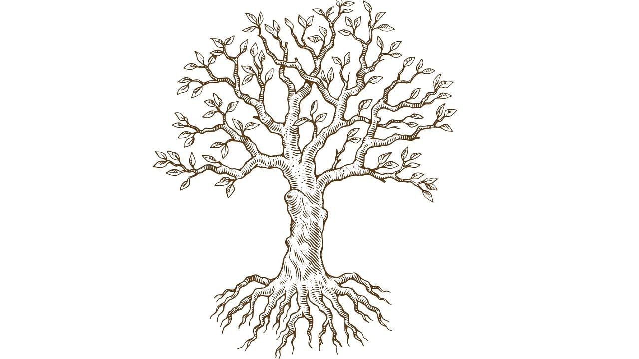 <div class="paragraphs"><p>A hand-drawn tree and roots </p></div>