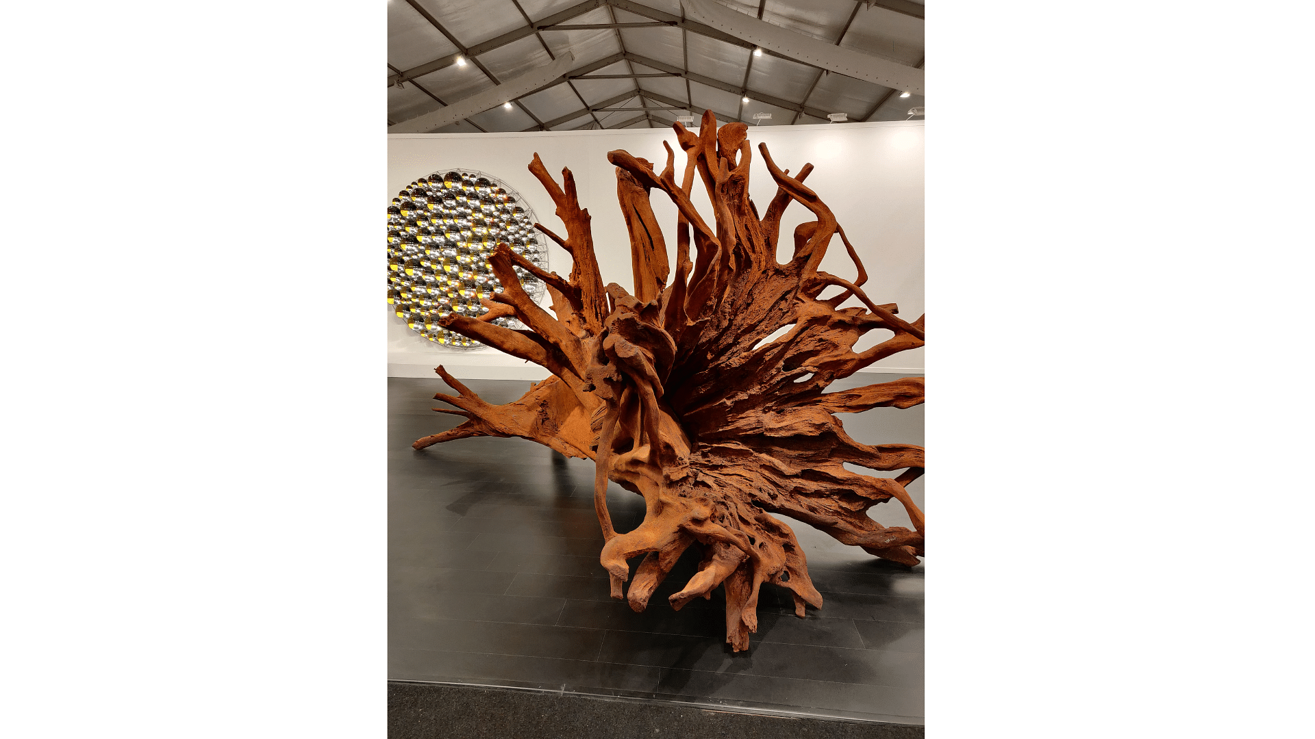 <div class="paragraphs"><p>Roots by Ai Weiwei. (Pic by author)</p></div>