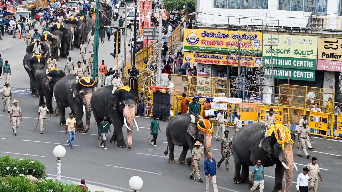 <div class="paragraphs"><p>Dasara Elephants of Mysuru.</p></div>